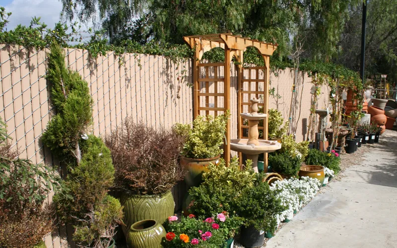 a group of people in a garden