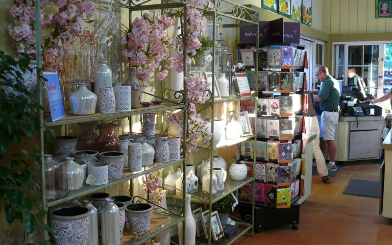 a person standing in front of a shop