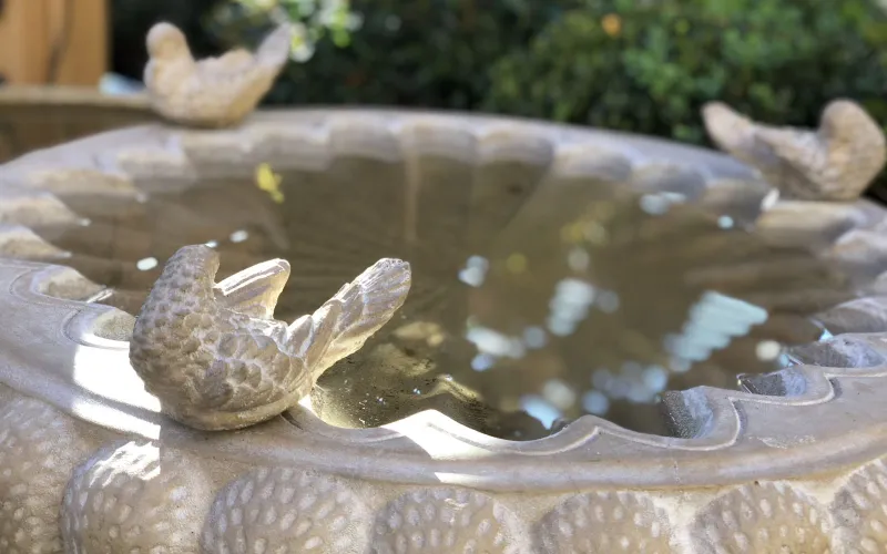 Concrete birdbath with bird design