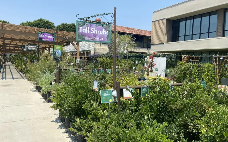 a building with signs and plants