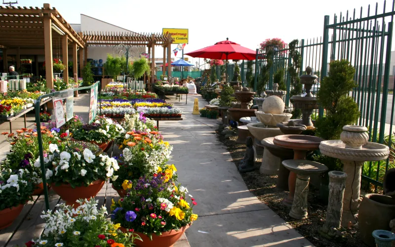 a group of people in a garden