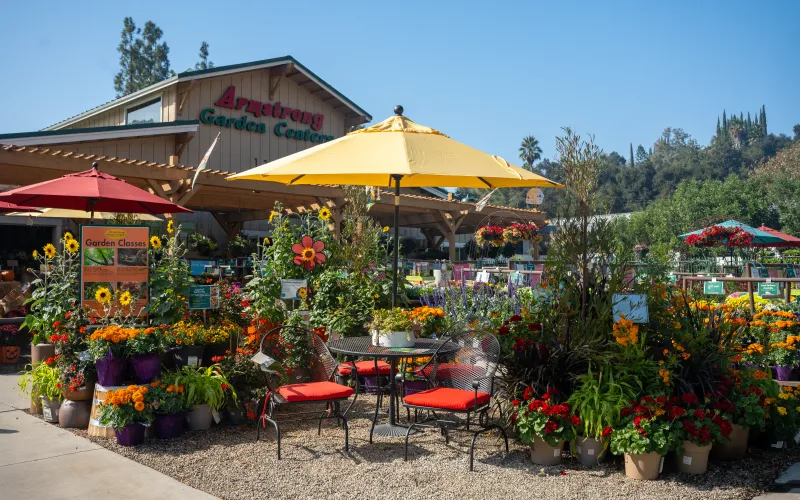 a flower shop with umbrellas