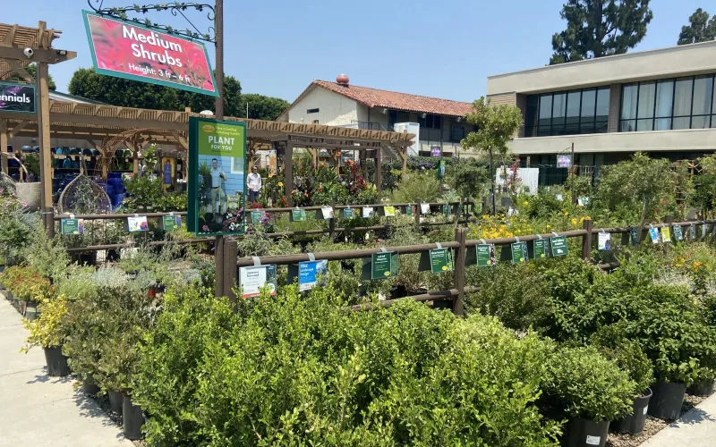 a group of plants and signs outside of a building