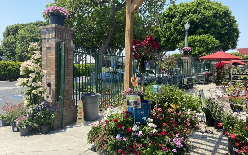 a garden with flowers and a fence