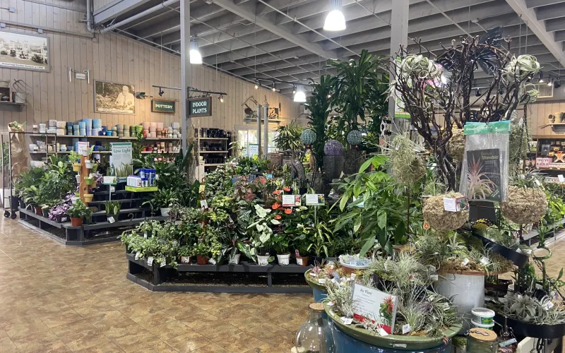 a large room with many plants in it