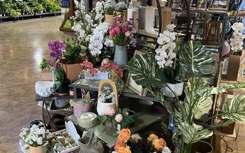 a flower shop with many potted plants