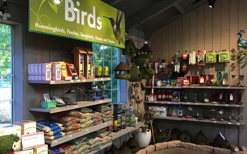 a store filled with lots of food