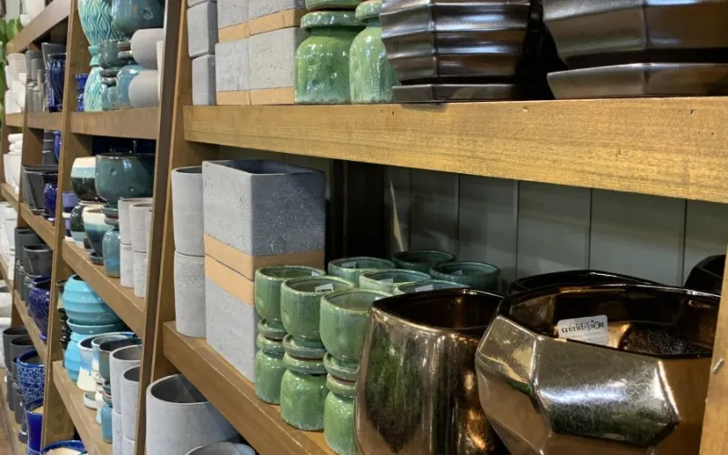 shelves with assorted garden planters