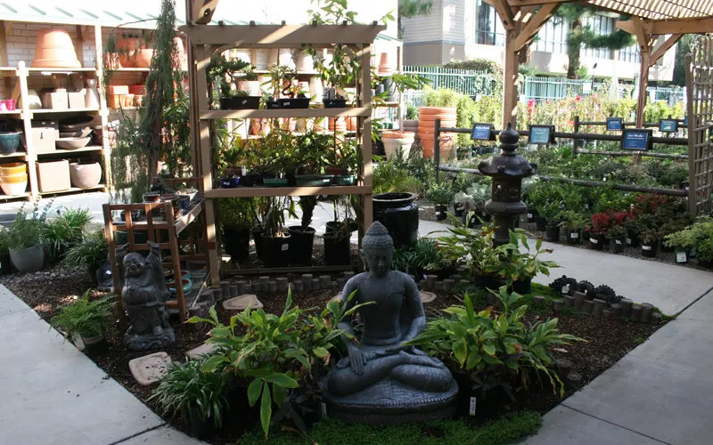 a bench in a garden