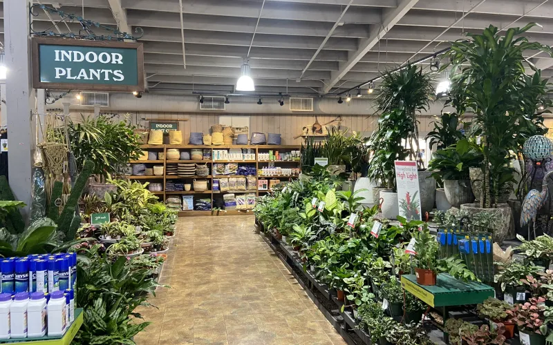 a store with shelves of items