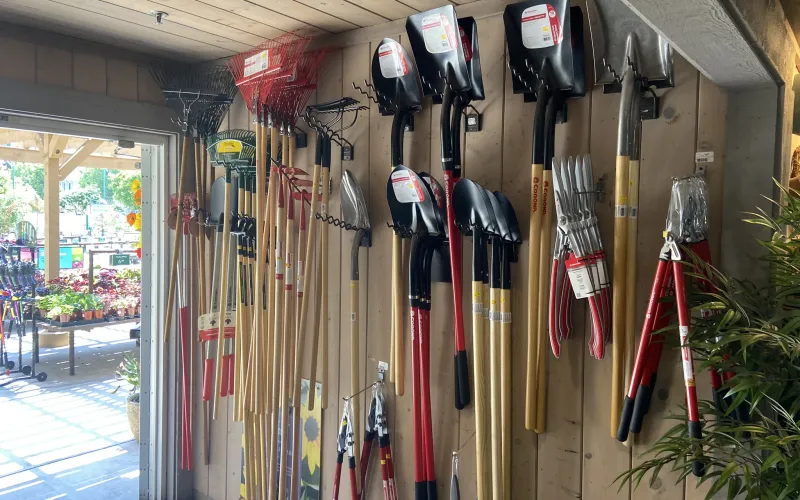 a wall full of umbrellas