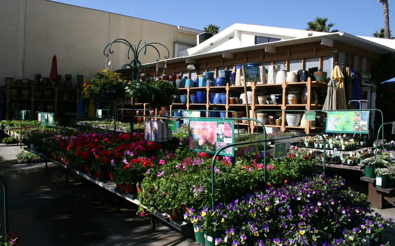 a close up of a flower garden in front of a building