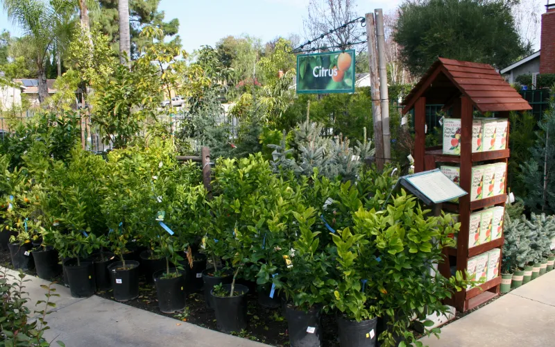 a house with trees in the background