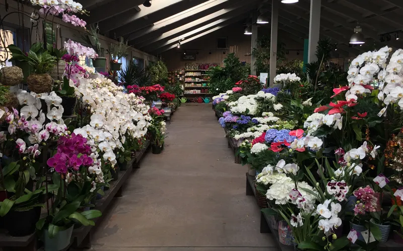 a vase filled with purple flowers in a garden