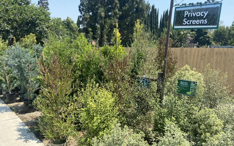 a garden with a sign