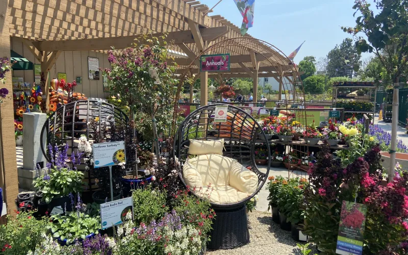 a flower shop with a bicycle