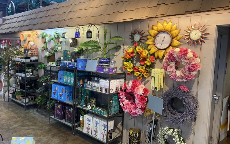 a store with flowers