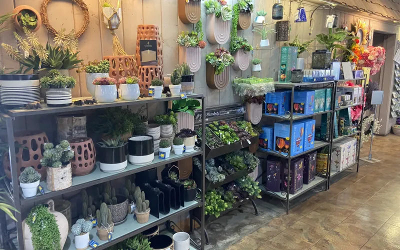 a shop with many shelves full of plants and pots