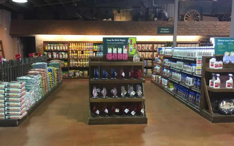 a store filled with lots of counter space
