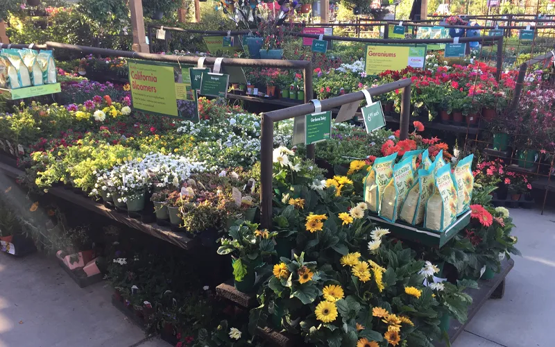 a display in a garden