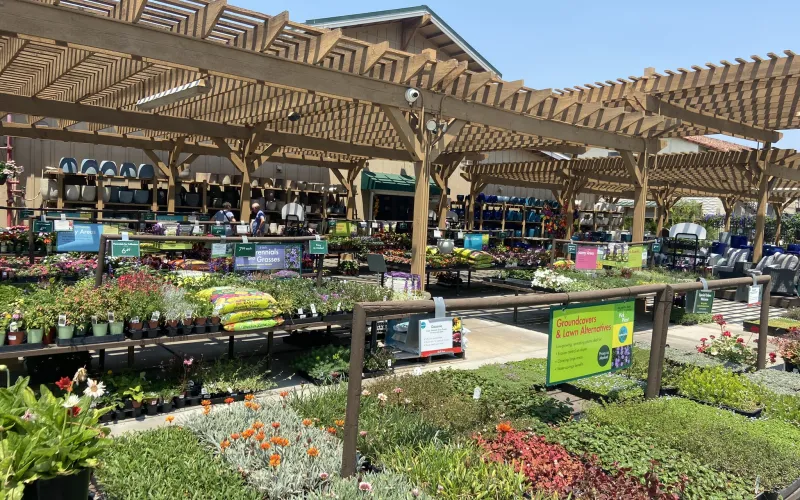 a flower market with a covered market