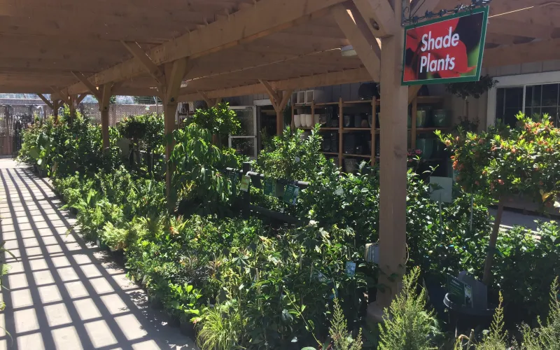 a group of people standing in front of a building