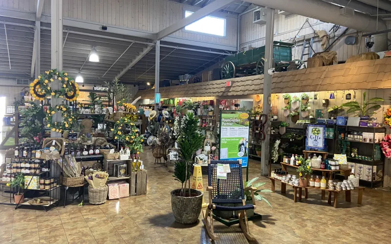 a store with lots of items