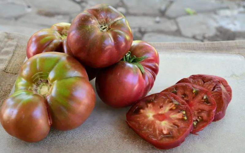 Heirloom Tomato Cherokee Purple
