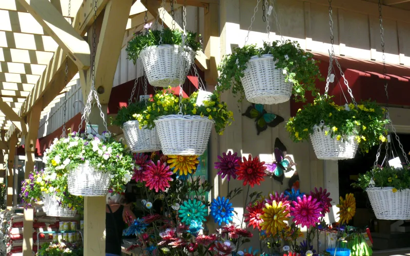 a vase of flowers sitting on top of a building