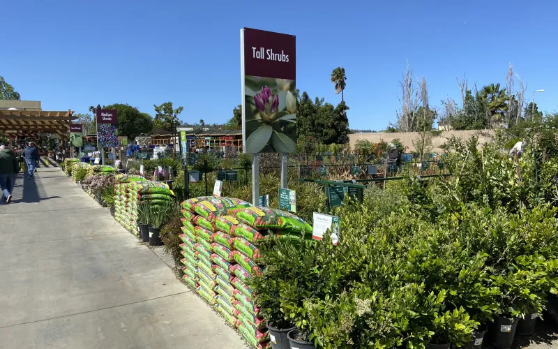 a garden with plants and signs