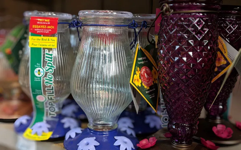 glass hummingbird feeders on a shelf