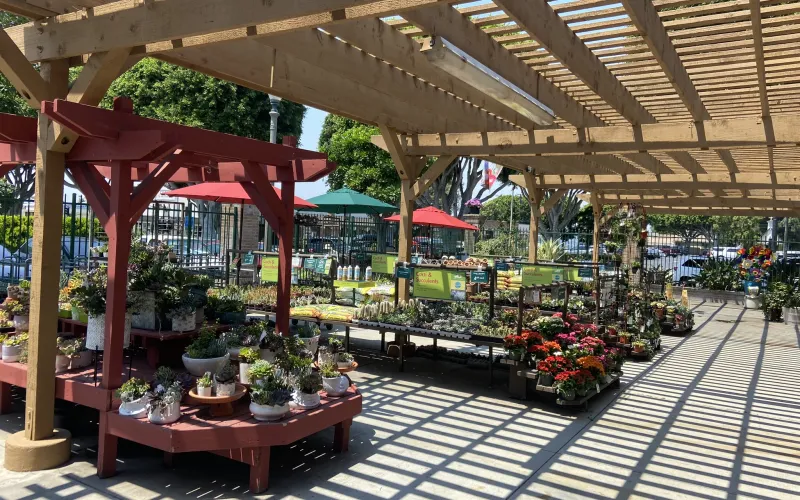 a large outdoor market