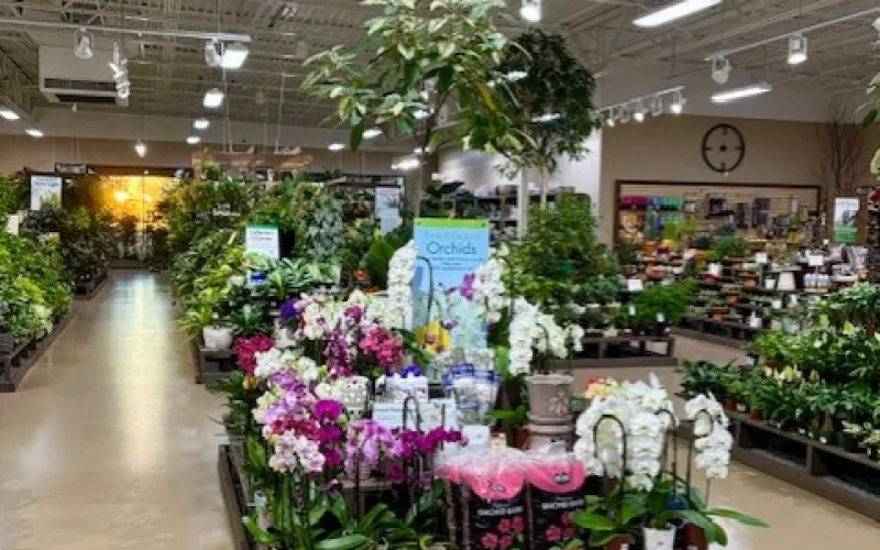 Indoor garden center displaying various orchids and plants with bright overhead lighting and wide aisles.
