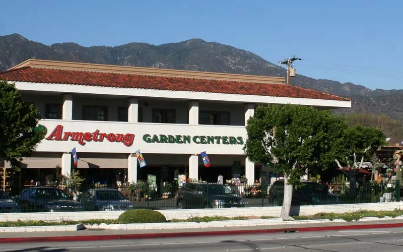 a large white building with a mountain in the background