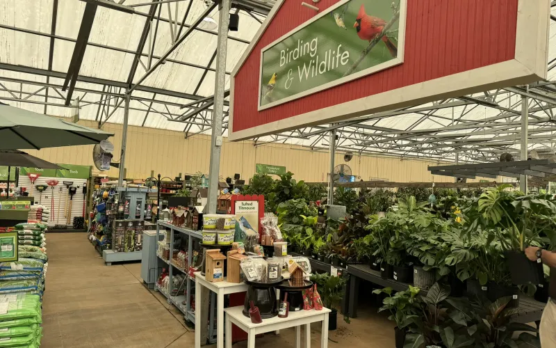 a store with plants and signs