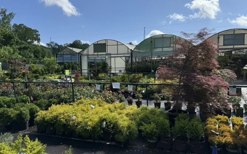 a building with a garden in front of it