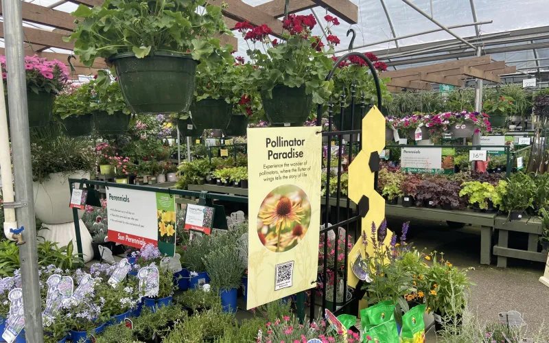 a flower shop with lots of flowers