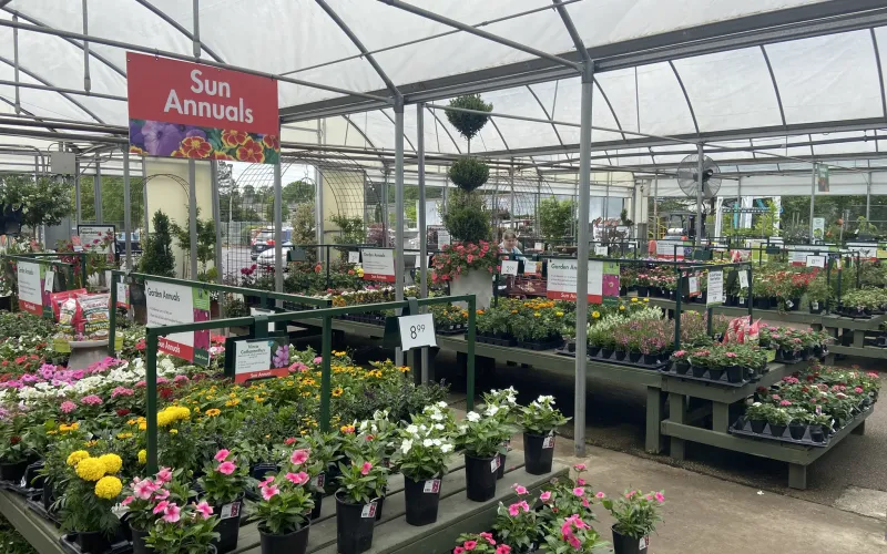 a greenhouse with many flowers