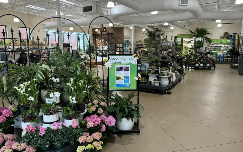 a large room with flowers and plants