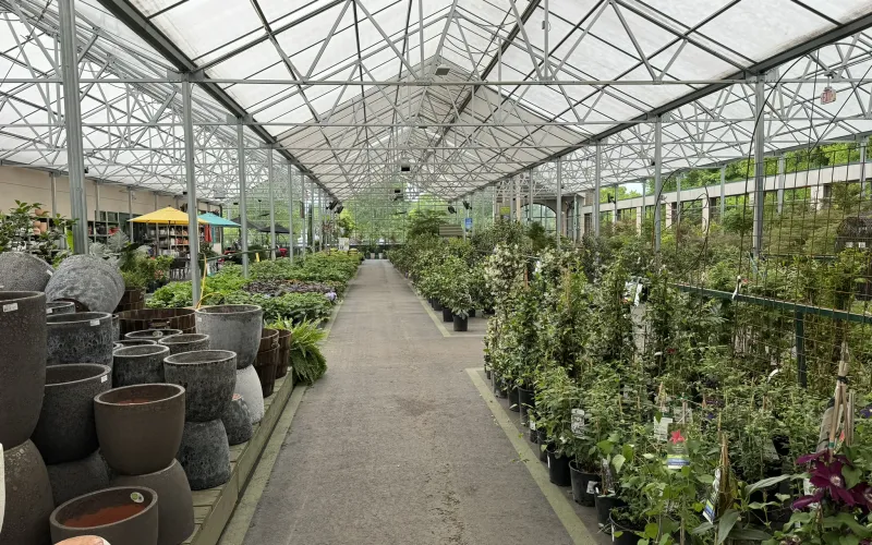 a greenhouse with many plants