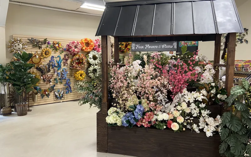 a display of flowers