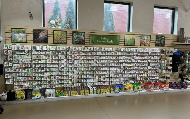 a store with a large display of items
