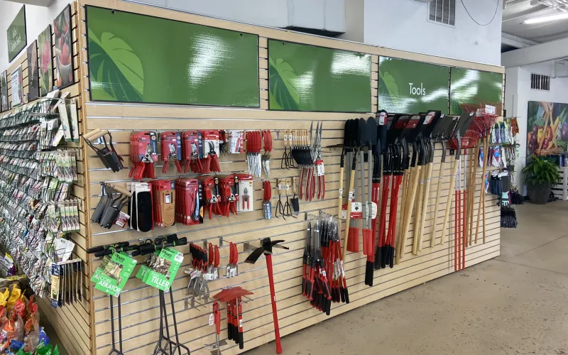 a store with a wall of clothes