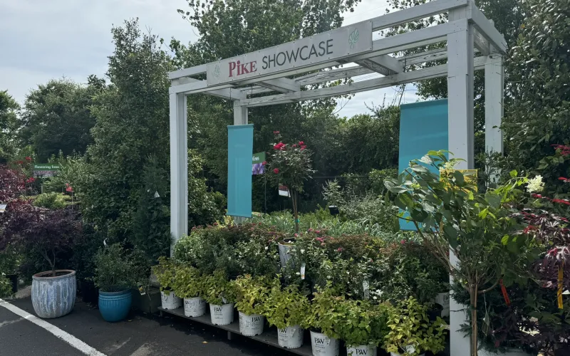 a greenhouse with many plants