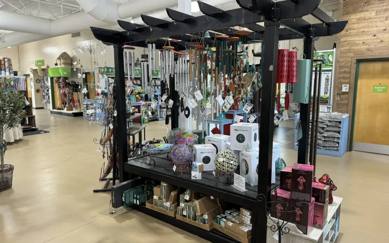 a store with shelves of items