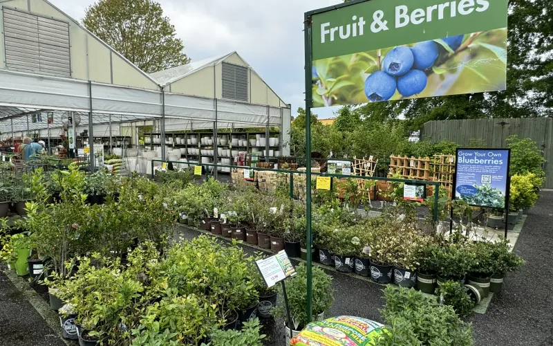 a garden with plants and signs