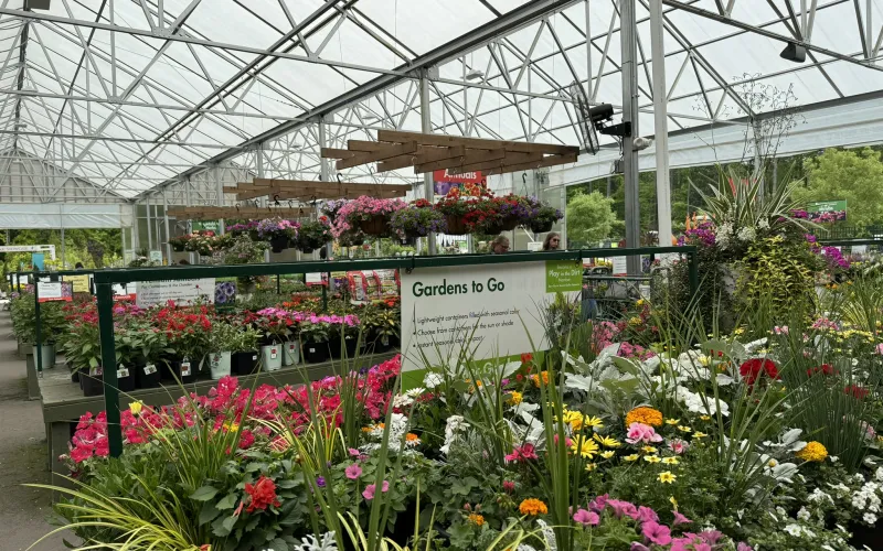 a greenhouse full of flowers