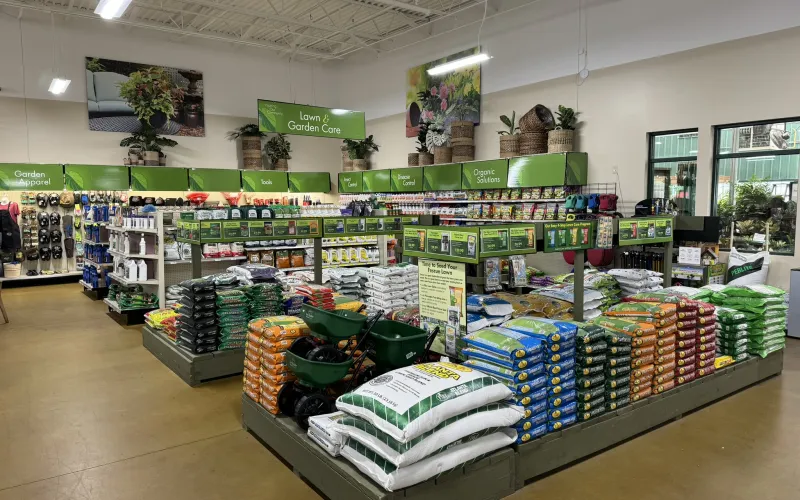 a store with baskets and bags