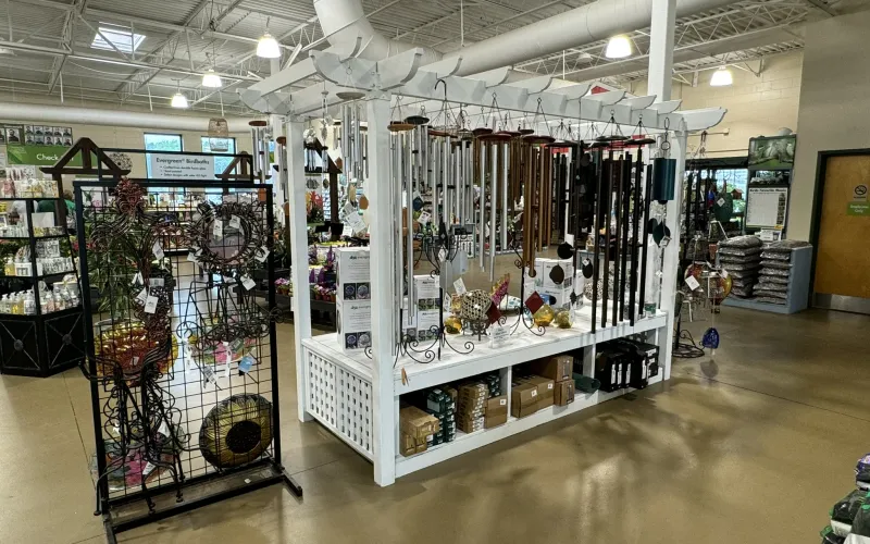 a store with a display of birds