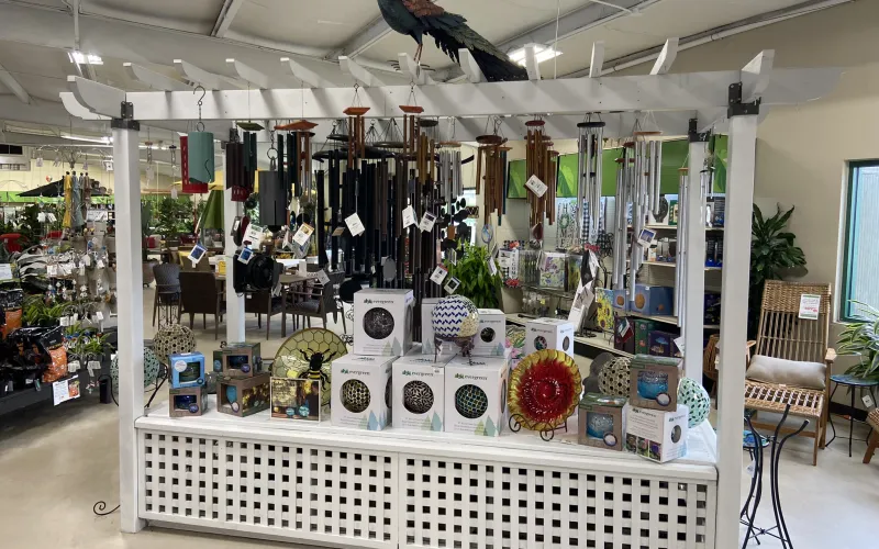 a store with a display of items